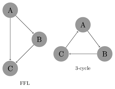 FFL and 3-cycle