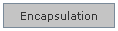 Encapsulation button