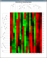 Hierarchical Clustering