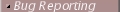 Bug Reporting