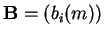 $ \mathbf{B}= ( b_i(m) )$