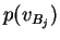 $\displaystyle p(v_{B_j})$