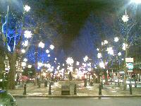 Jouluvalaistusta Sloane Squarella (2)