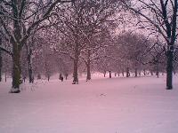 Lunta Hyde Parkissa